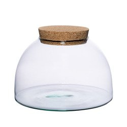 Szklane terrarium WL-83 + korek H:14,5cm D:24cm