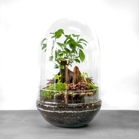 Szklane terrarium, Jajko W-527A+W-527 b. otwór